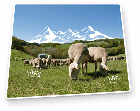 la défense de la biodiversité chez le petit basque