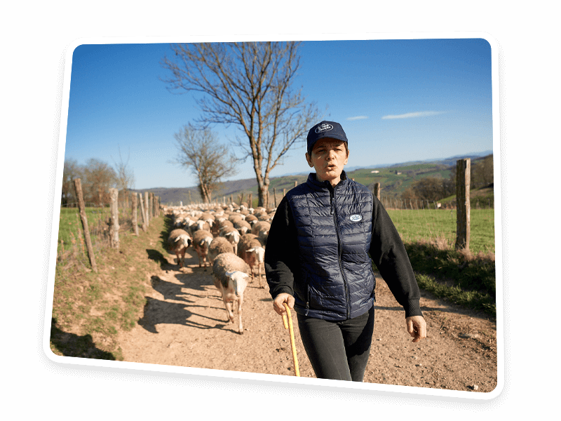 les éleveurs le petit basque : nos éleveuses